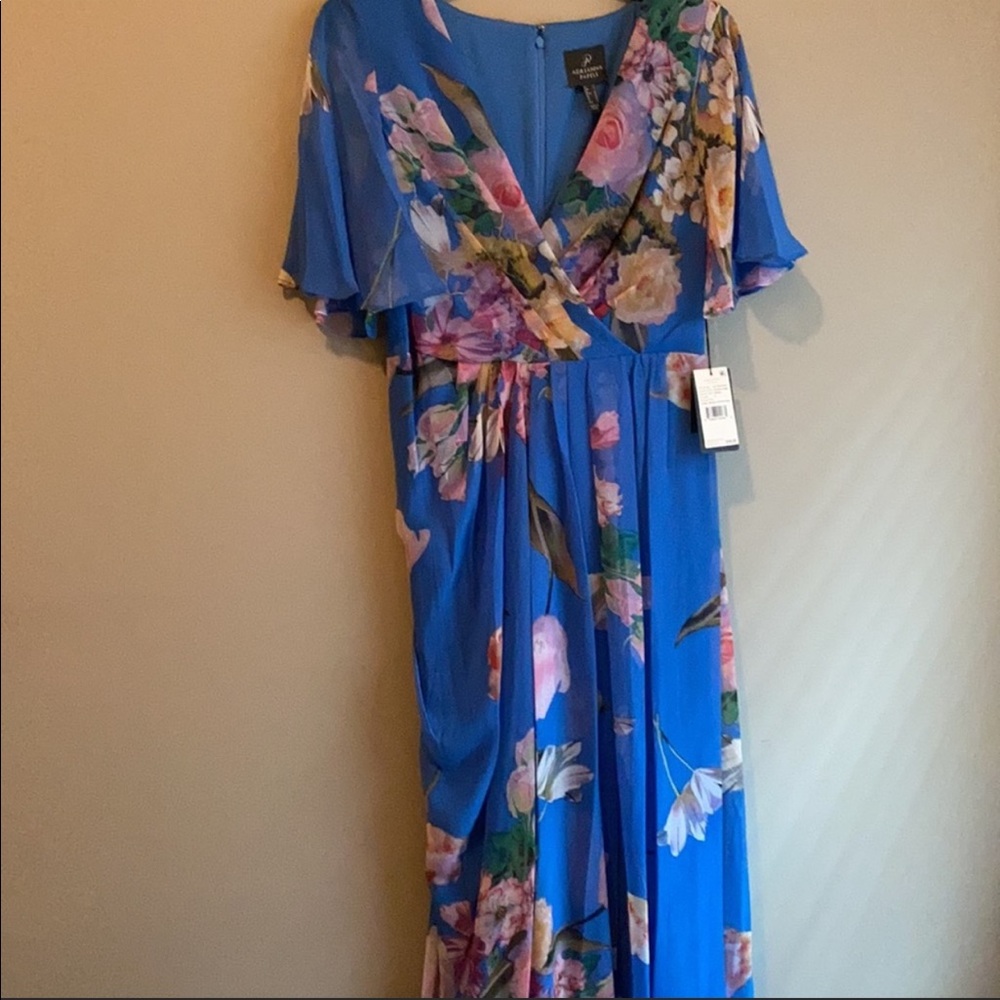NEW Beautiful Floral Adrianna Papell Gown.